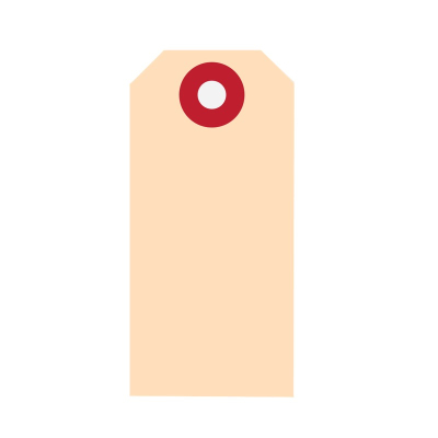 Aanhanglabel Karton 60x120mm Chamois versterkt oogje