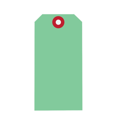 Aanhanglabel Karton 60x120mm Groen versterkt oogje