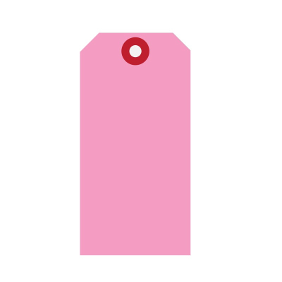 Aanhanglabel Karton 60x120mm Kers versterkt oogje
