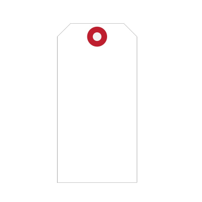 Aanhanglabel Karton 60x120mm Wit versterkt oogje